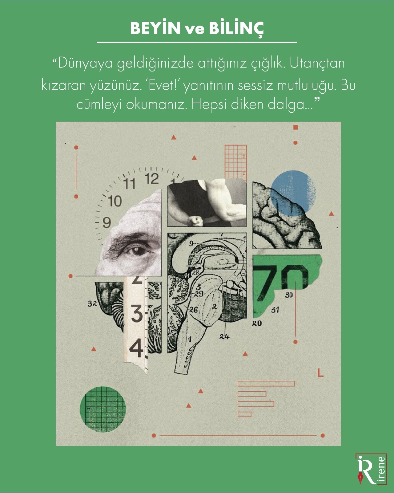 Set-Beyin ve Bilinç Seti (3 Kitap)